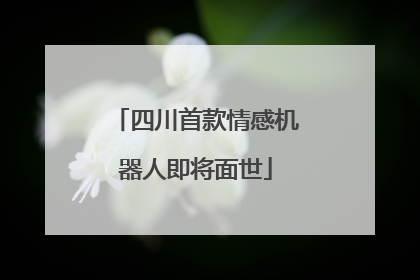 四川首款情感机器人即将面世