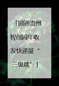 圆通贵州智创园年收发快递量“三级跳”