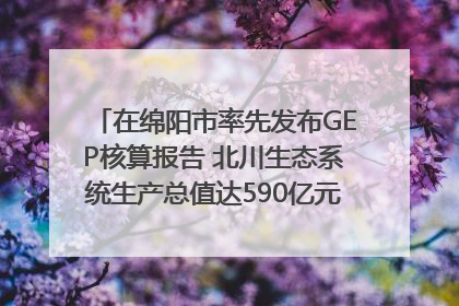 在绵阳市率先发布GEP核算报告 北川生态系统生产总值达590亿元｜新闻发布最前线