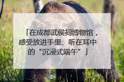 在成都武侯祠博物馆，感受放进手里、听在耳中的“沉浸式端午”