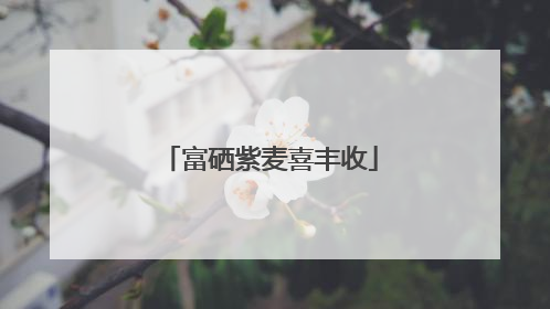 富硒紫麦喜丰收