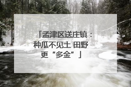孟津区送庄镇：种瓜不见土 田野更“多金”