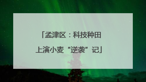 孟津区：科技种田 上演小麦“逆袭”记