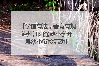 学前有法，善育有规 泸州江阳通滩小学开展幼小衔接活动