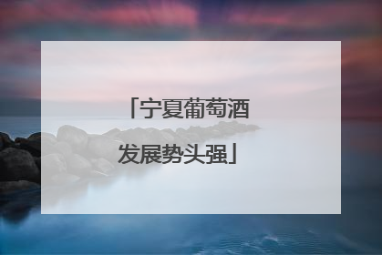 宁夏葡萄酒发展势头强