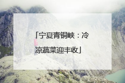 宁夏青铜峡：冷凉蔬菜迎丰收