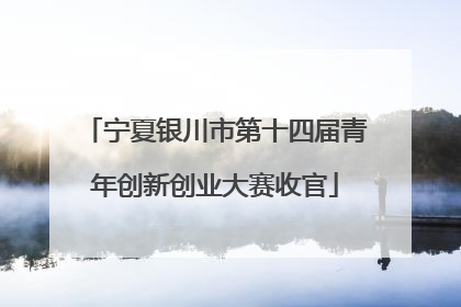 宁夏银川市第十四届青年创新创业大赛收官