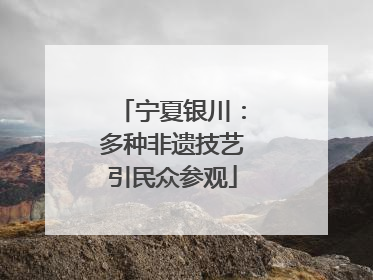 宁夏银川：多种非遗技艺引民众参观