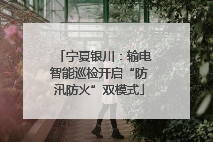 宁夏银川：输电智能巡检开启“防汛防火”双模式