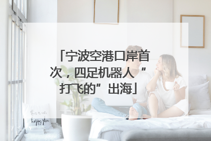 宁波空港口岸首次，四足机器人“打飞的”出海
