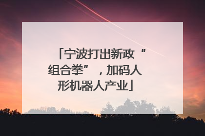宁波打出新政“组合拳”，加码人形机器人产业