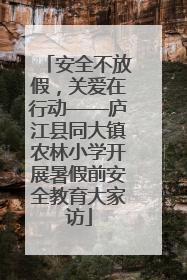 安全不放假，关爱在行动——庐江县同大镇农林小学开展暑假前安全教育大家访
