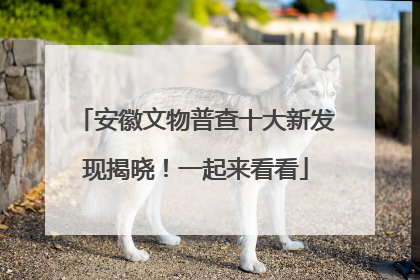 安徽文物普查十大新发现揭晓！一起来看看