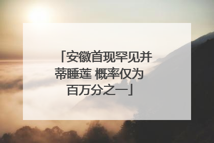 安徽首现罕见并蒂睡莲 概率仅为百万分之一