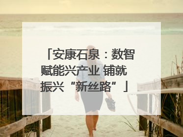 安康石泉：数智赋能兴产业 铺就振兴“新丝路”