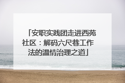 安职实践团走进西苑社区：解码六尺巷工作法的温情治理之道