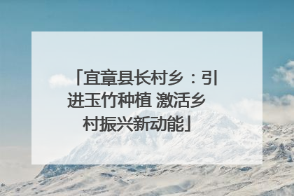宜章县长村乡：引进玉竹种植 激活乡村振兴新动能