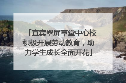 宜宾翠屏草堂中心校积极开展劳动教育，助力学生成长全面开花