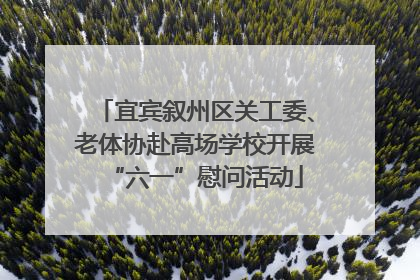 宜宾叙州区关工委、老体协赴高场学校开展“六一”慰问活动
