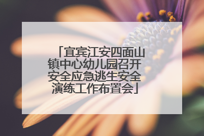宜宾江安四面山镇中心幼儿园召开安全应急逃生安全演练工作布置会