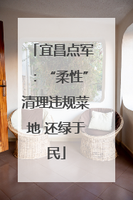 宜昌点军：“柔性”清理违规菜地 还绿于民