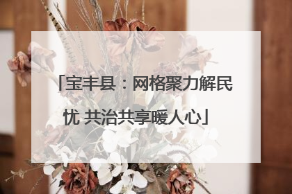 宝丰县：网格聚力解民忧 共治共享暖人心