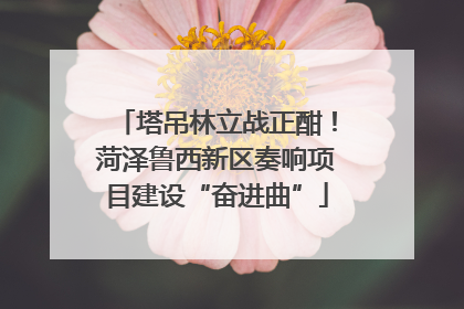 塔吊林立战正酣！菏泽鲁西新区奏响项目建设“奋进曲”