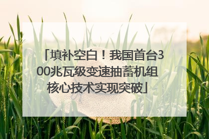 填补空白！我国首台300兆瓦级变速抽蓄机组核心技术实现突破