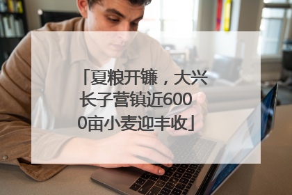 夏粮开镰，大兴长子营镇近6000亩小麦迎丰收