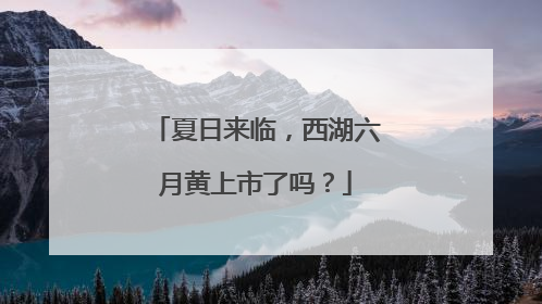 夏日来临，西湖六月黄上市了吗？