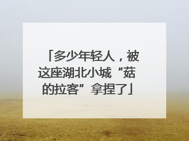多少年轻人，被这座湖北小城“菇的拉客”拿捏了