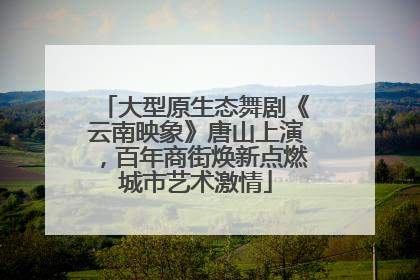 大型原生态舞剧《云南映象》唐山上演，百年商街焕新点燃城市艺术激情
