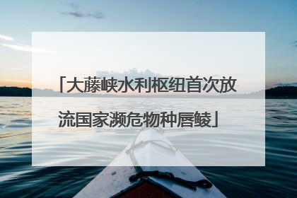 大藤峡水利枢纽首次放流国家濒危物种唇鲮