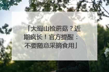 大蜀山捡蘑菇？近期疯长！官方提醒：不要随意采摘食用