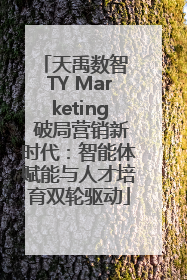天禹数智 TY Marketing 破局营销新时代：智能体赋能与人才培育双轮驱动