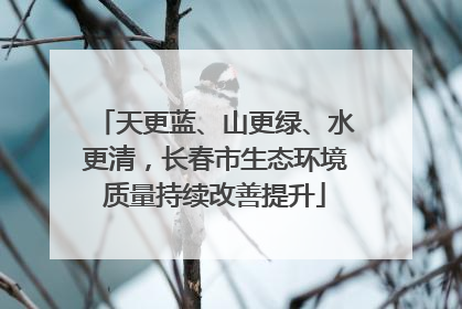 天更蓝、山更绿、水更清，长春市生态环境质量持续改善提升