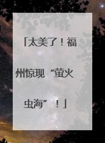 太美了！福州惊现“萤火虫海”！