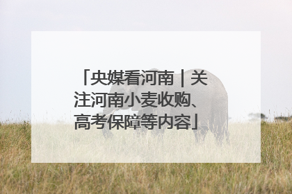 央媒看河南｜关注河南小麦收购、高考保障等内容