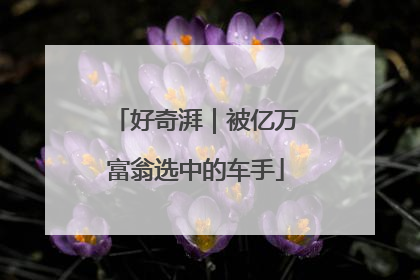 好奇湃｜被亿万富翁选中的车手