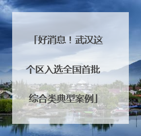 好消息！武汉这个区入选全国首批综合类典型案例
