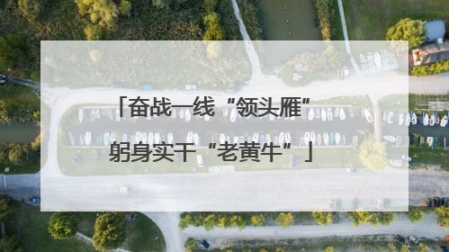奋战一线“领头雁” 躬身实干“老黄牛”