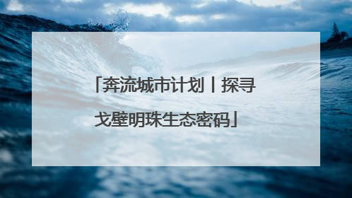 奔流城市计划丨探寻戈壁明珠生态密码