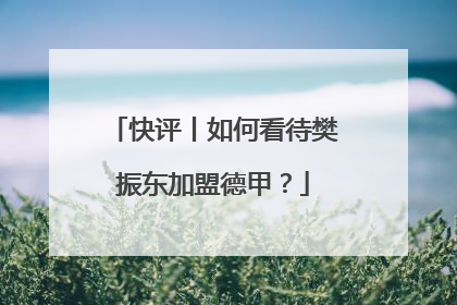快评丨如何看待樊振东加盟德甲？