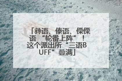彝语、傣语、傈僳语 “轮番上阵”！这个派出所“三语BUFF”叠满