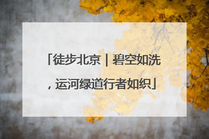徒步北京｜碧空如洗，运河绿道行者如织