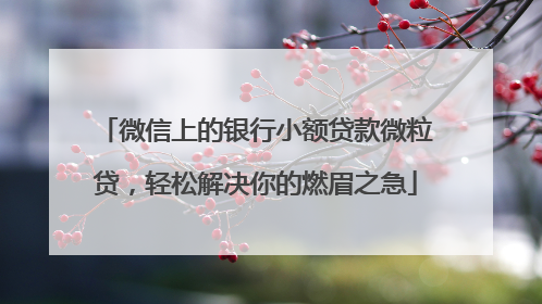 微信上的银行小额贷款微粒贷，轻松解决你的燃眉之急