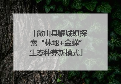 微山县驩城镇探索“林地+金蝉”生态种养新模式