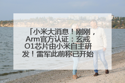 小米大消息！刚刚，Arm官方认证：玄戒O1芯片由小米自主研发！雷军此前称已开始大规模量产