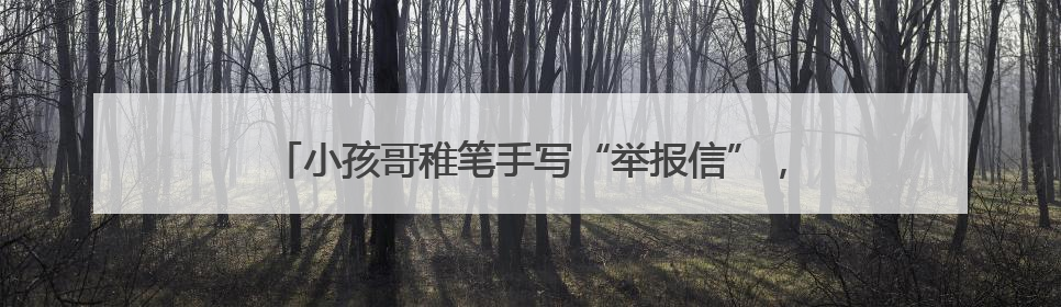 小孩哥稚笔手写“举报信”，民警：盖章回信，公开表扬！