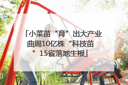 小菜苗“育”出大产业 曲周10亿株“科技苗”15省落地生根